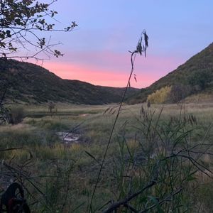 Meet your Posher, Tyson